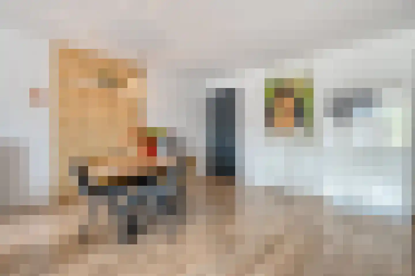 Julianastraat 12 b Dedemsvaart thumbnail 23