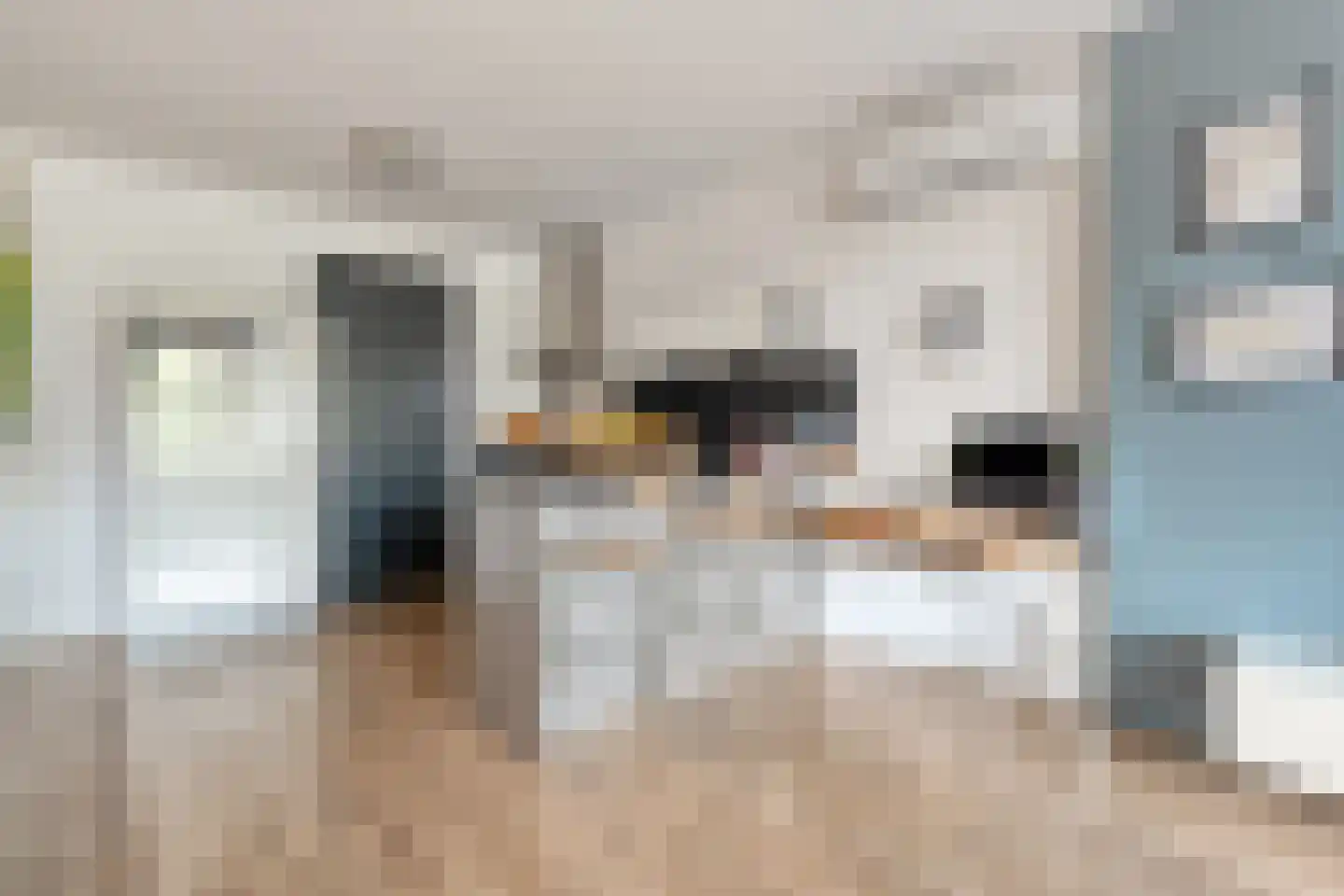 Julianastraat 12 b Dedemsvaart thumbnail 24