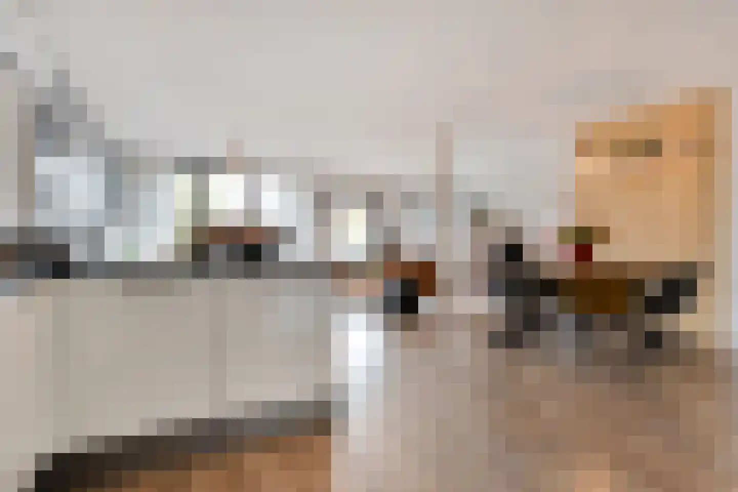 Julianastraat 12 b Dedemsvaart thumbnail 26