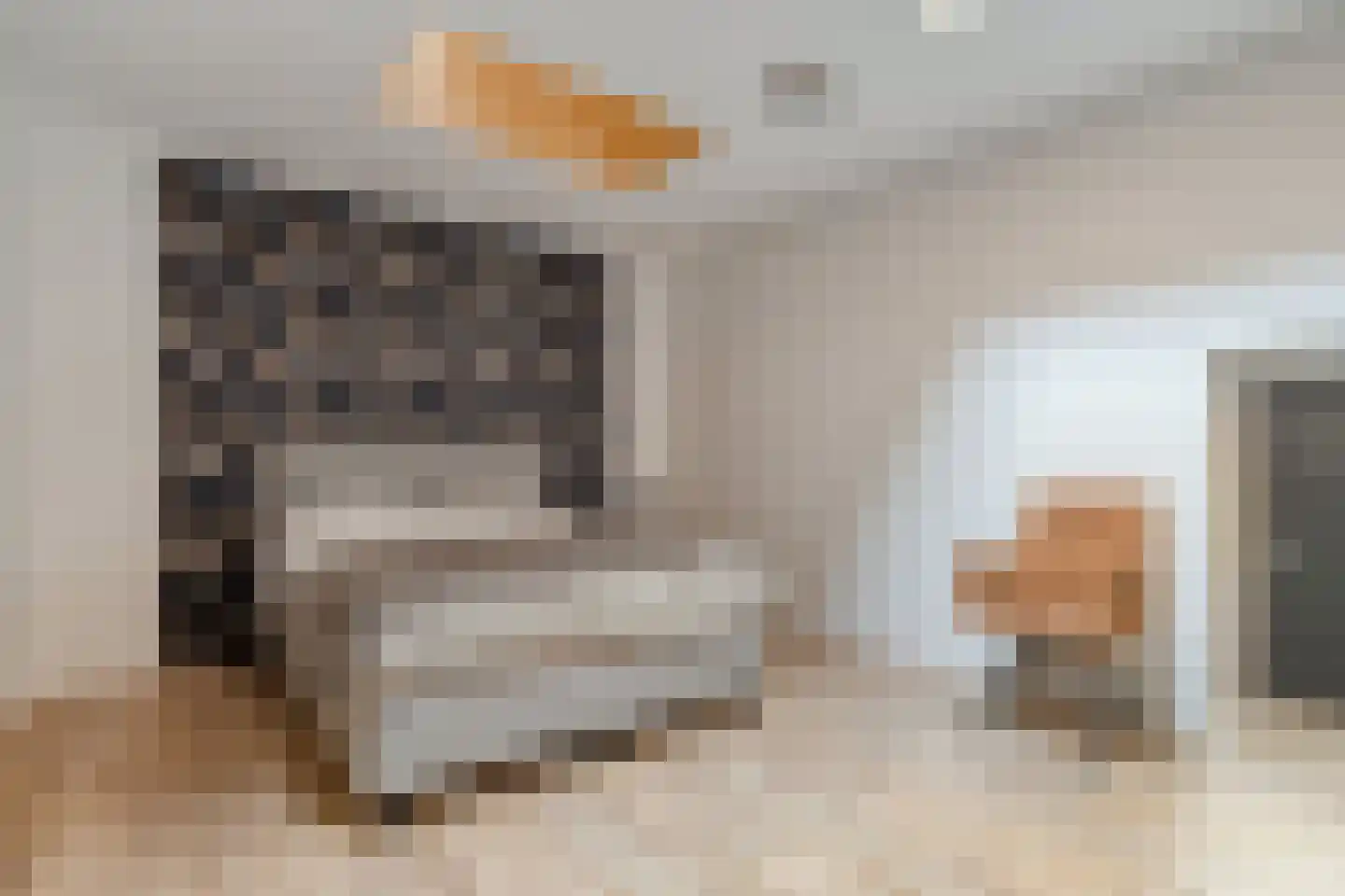 Julianastraat 12 b Dedemsvaart thumbnail 27