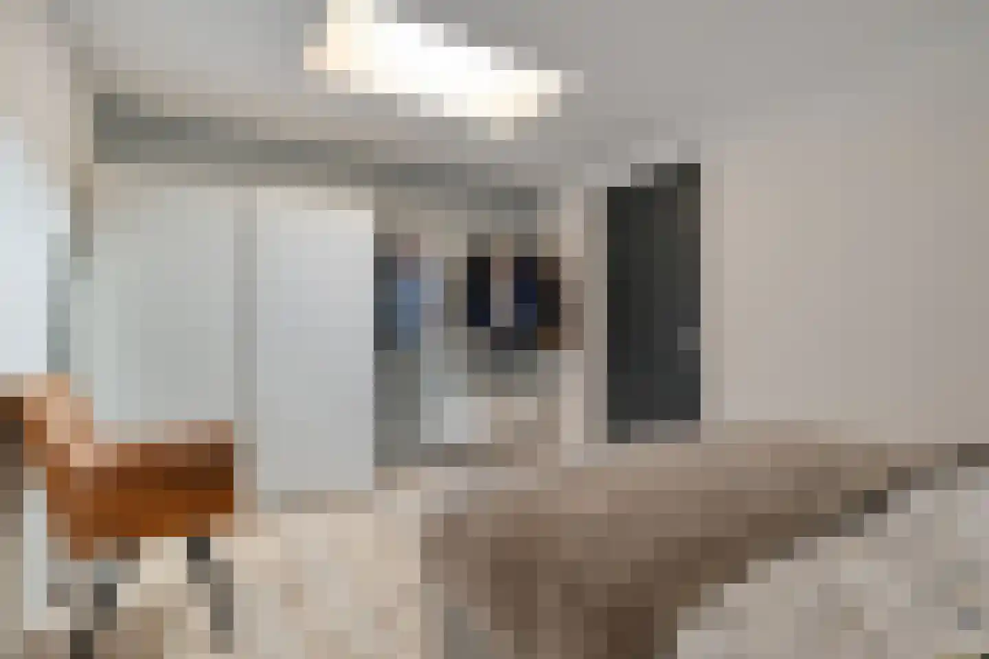 Julianastraat 12 b Dedemsvaart thumbnail 28