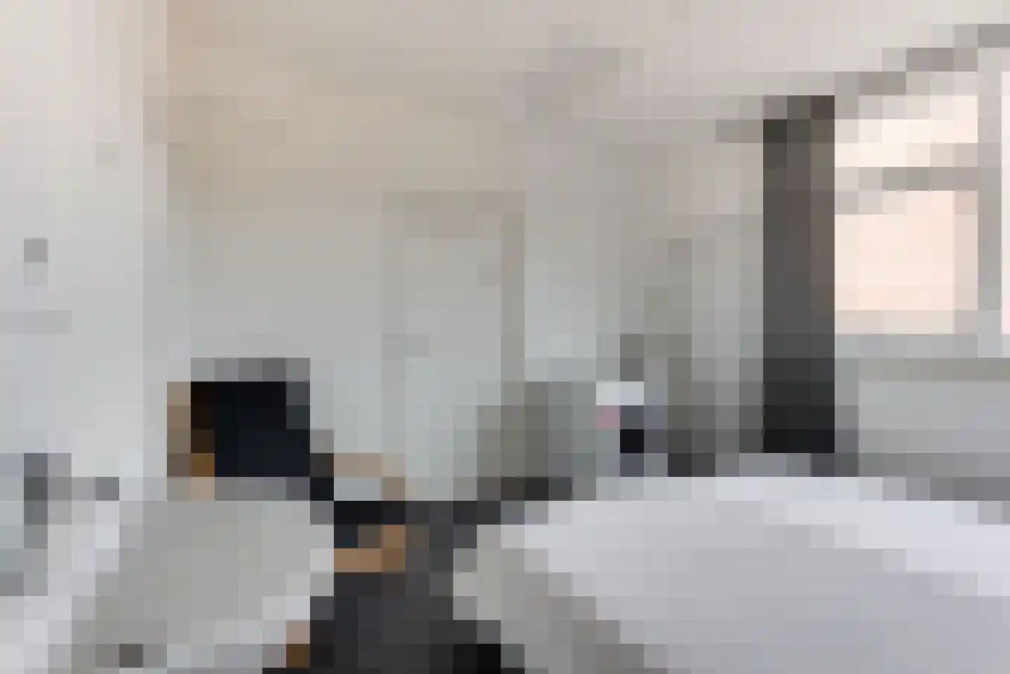 Julianastraat 12 Egmond aan Zee thumbnail 13