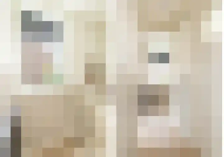 Julianastraat 12 Kampen thumbnail 15