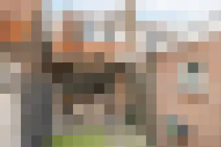 Julianastraat 12 Kampen thumbnail 27