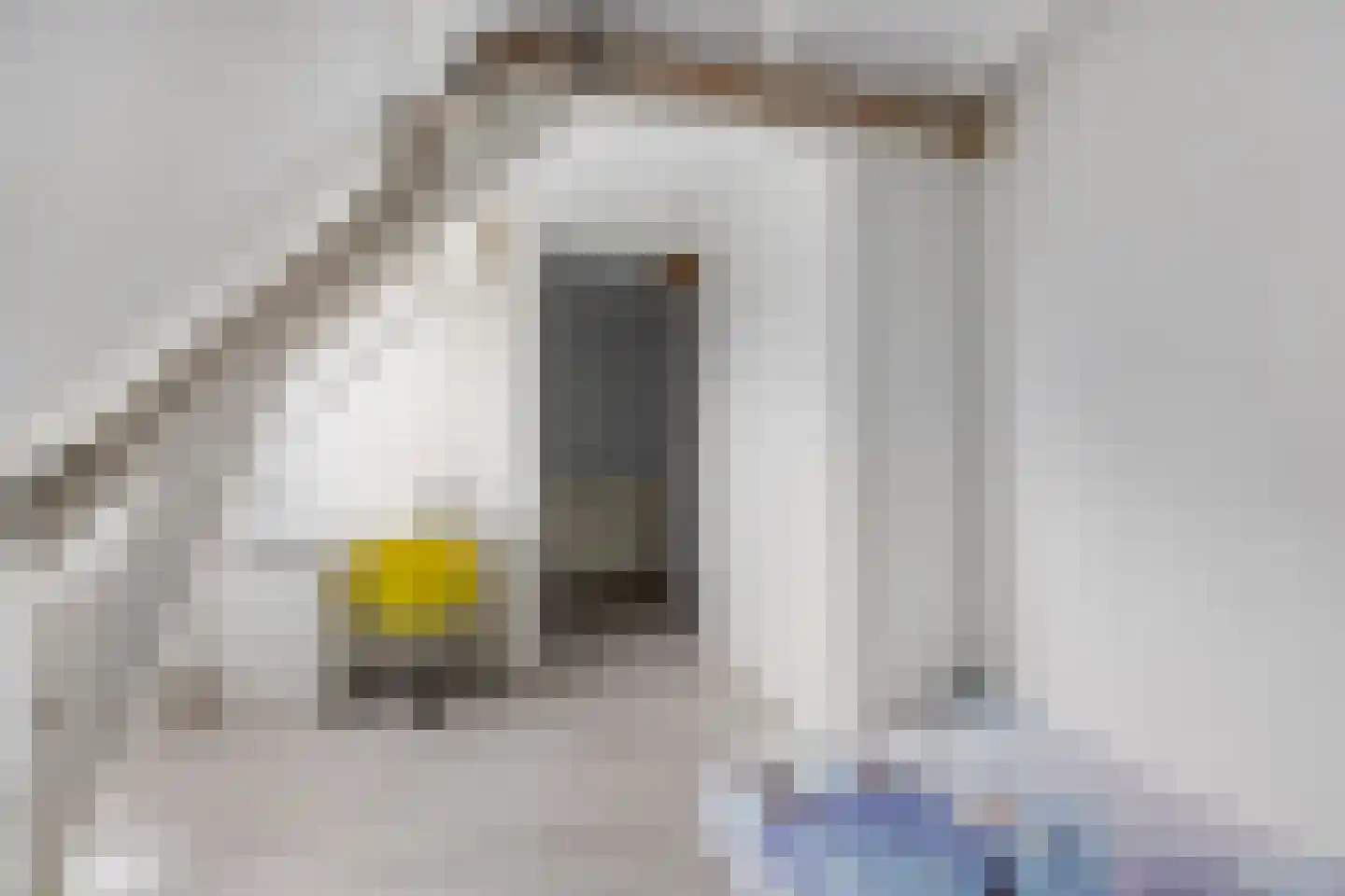 Julianastraat 12 Leiden thumbnail 18