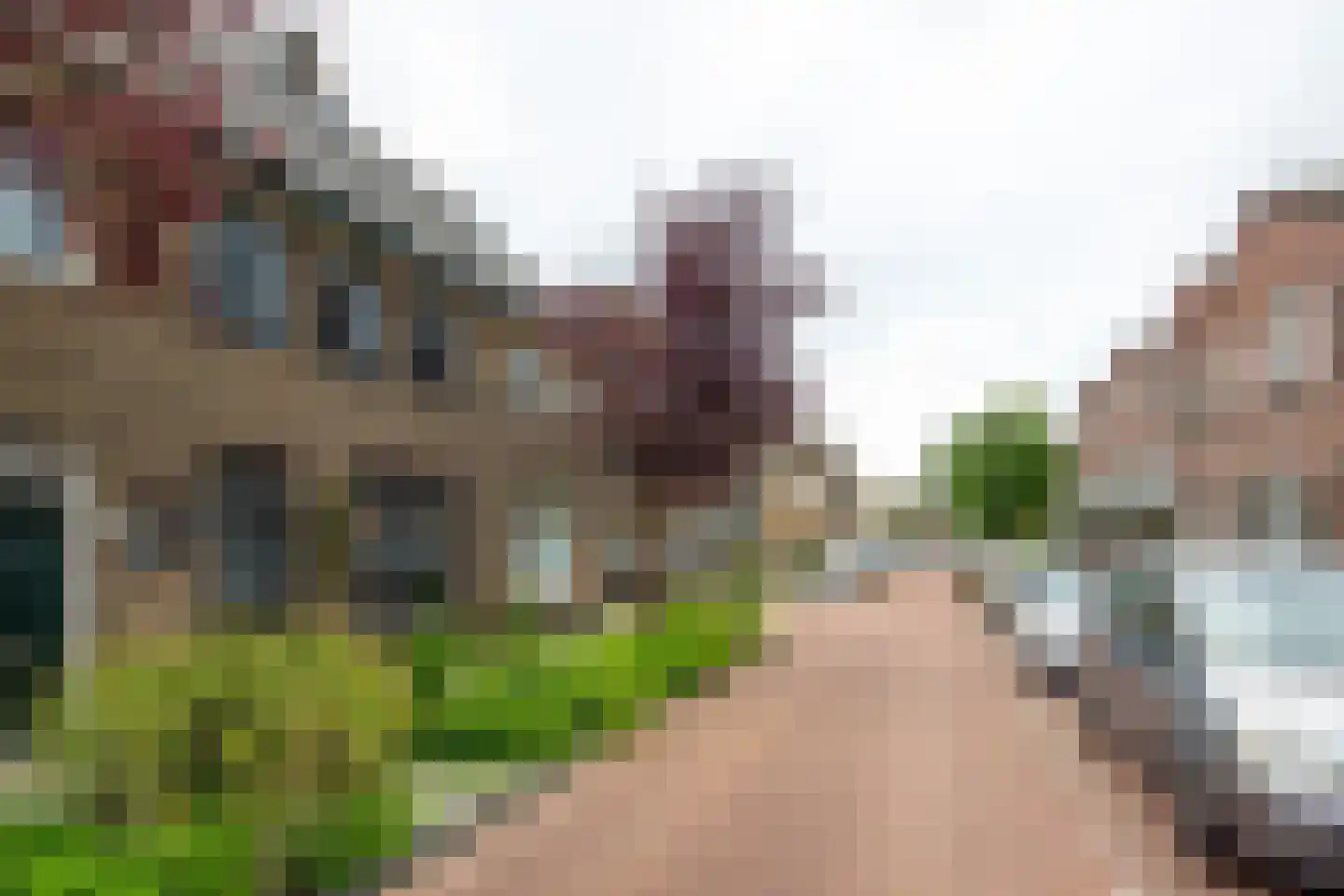 Julianastraat 12 Leiden thumbnail 21