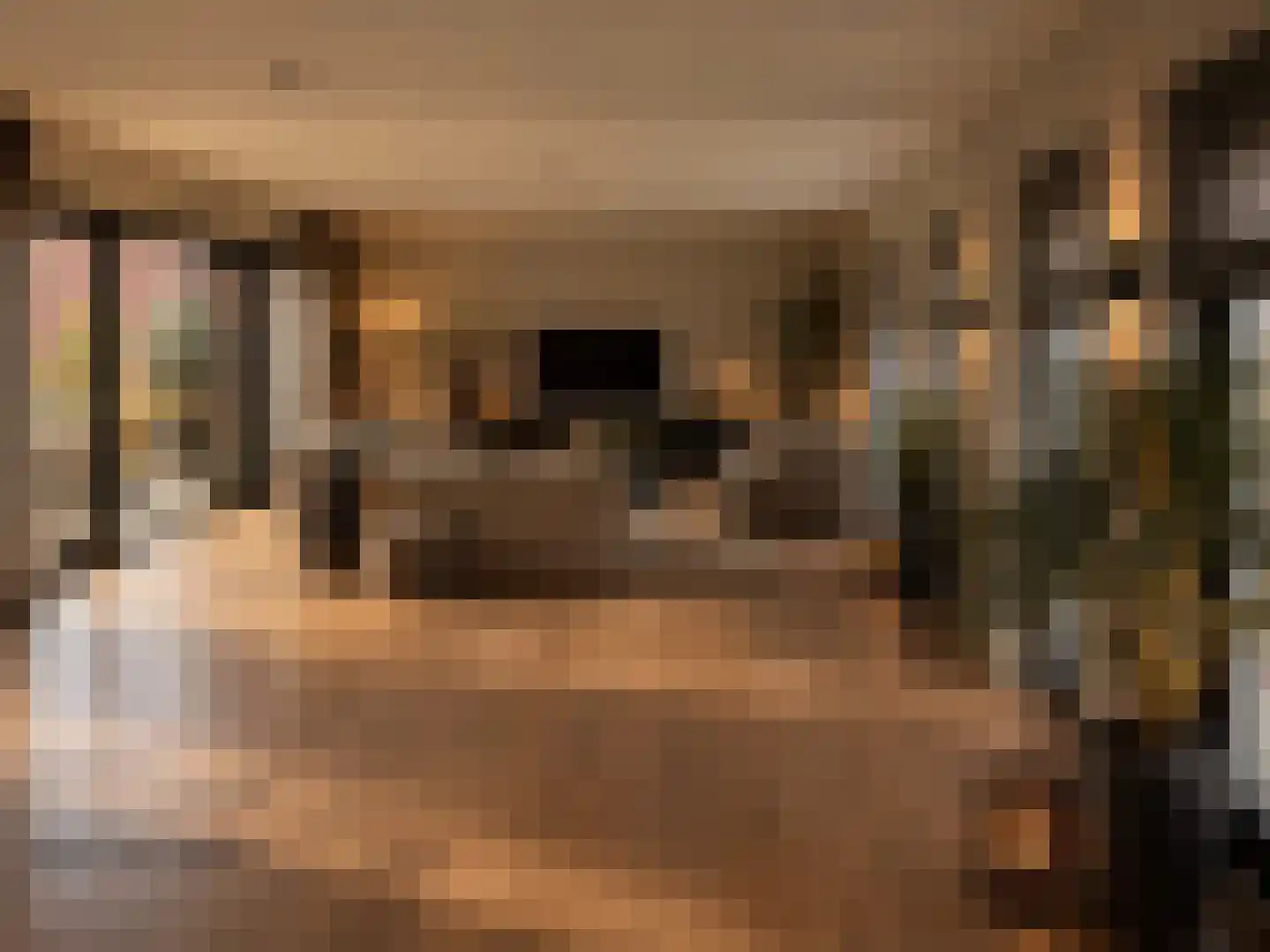 Julianastraat 12 Oud-Beijerland thumbnail 4