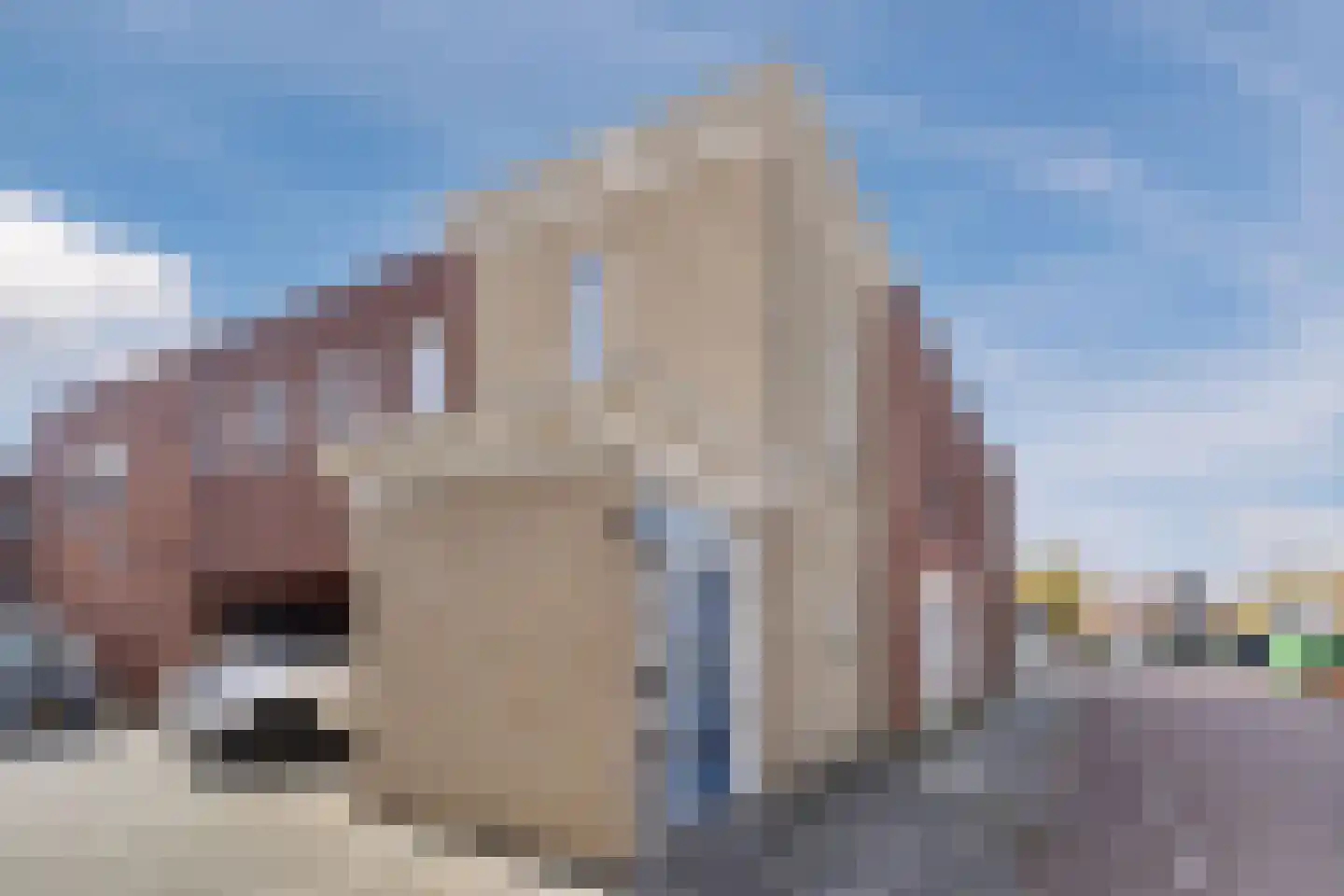 Julianastraat 12 Oud-Beijerland thumbnail 70