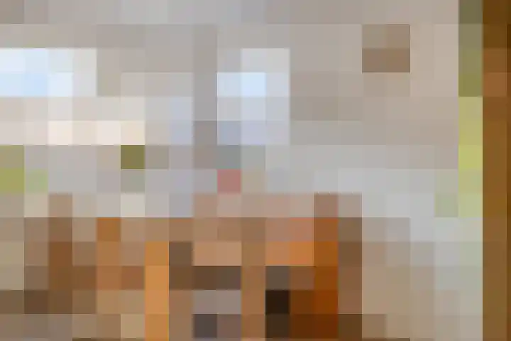 Julianastraat 12 Ouderkerk aan den IJssel thumbnail 13