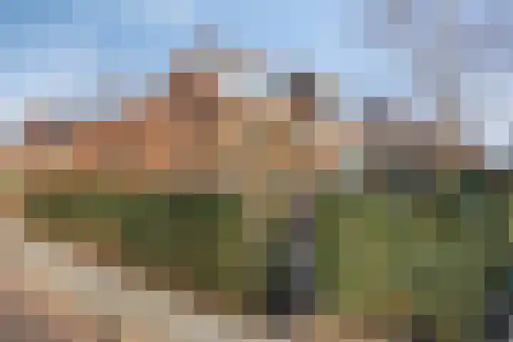 Julianastraat 12 Ouderkerk aan den IJssel thumbnail 32