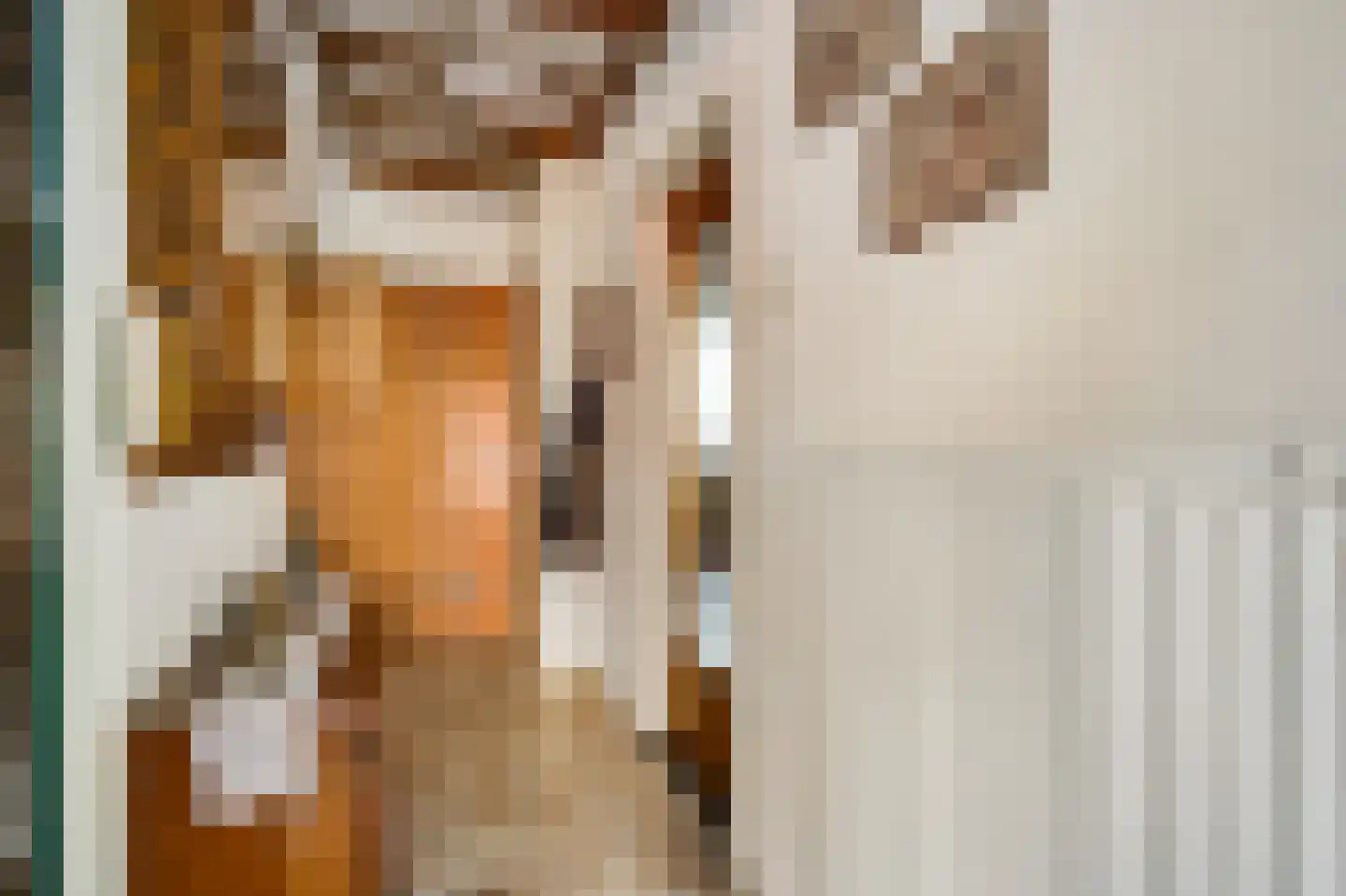 Julianastraat 12 Reuver thumbnail 14