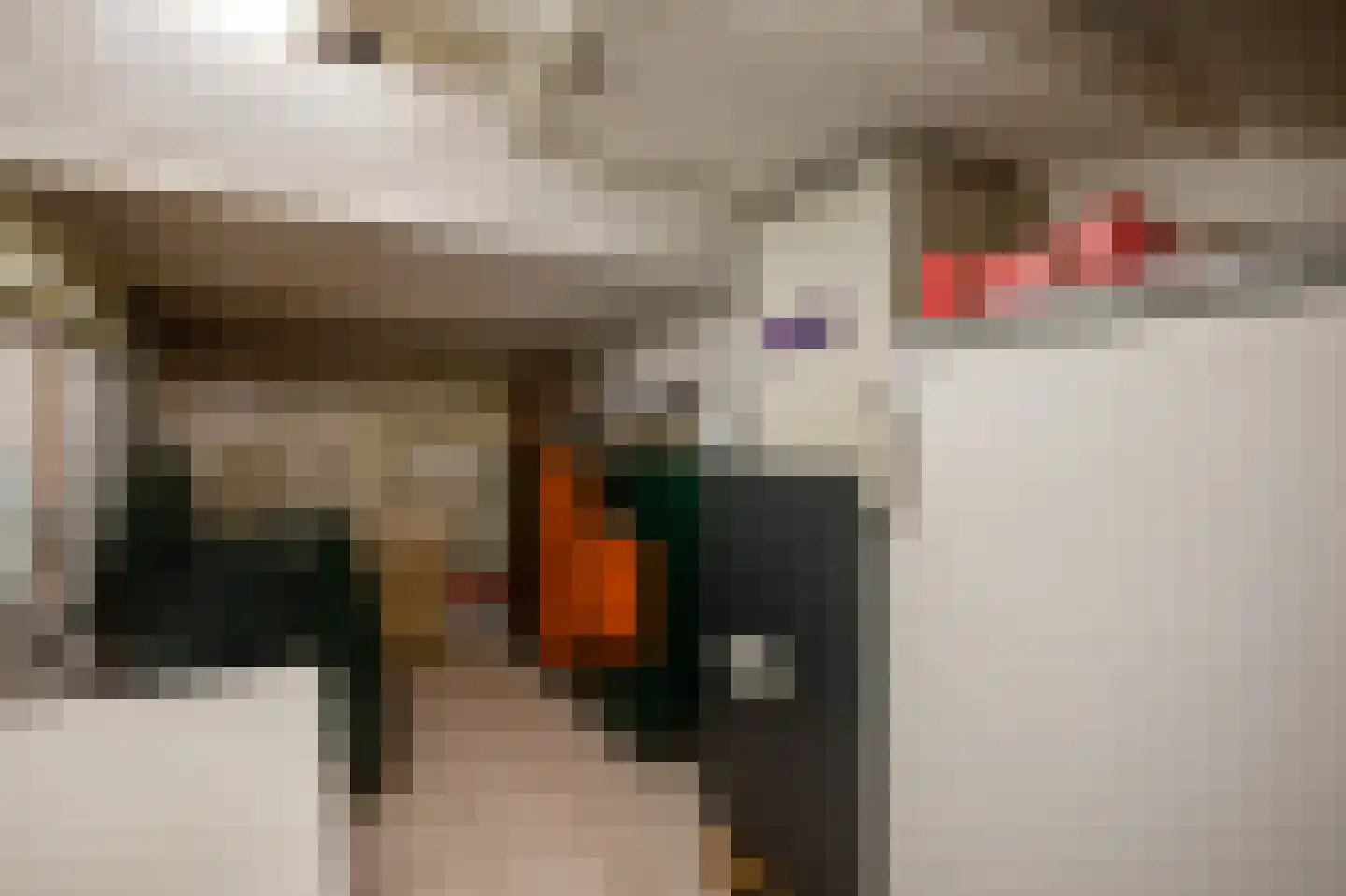 Julianastraat 12 Reuver thumbnail 15