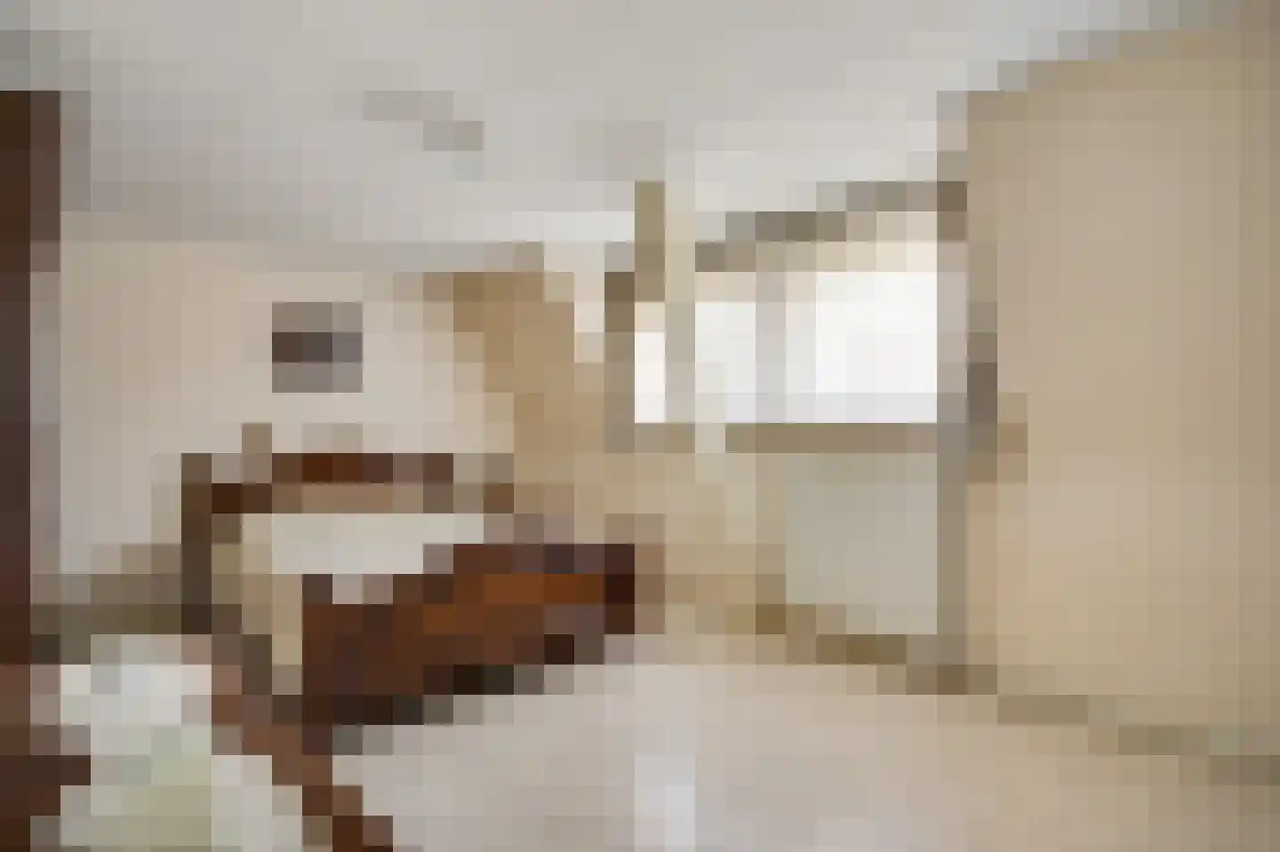 Julianastraat 12 Reuver thumbnail 17