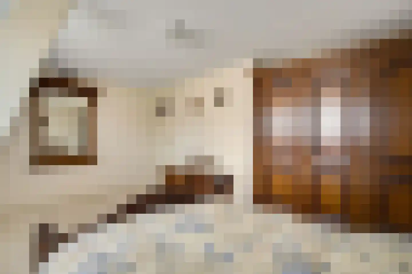 Julianastraat 12 Reuver thumbnail 18