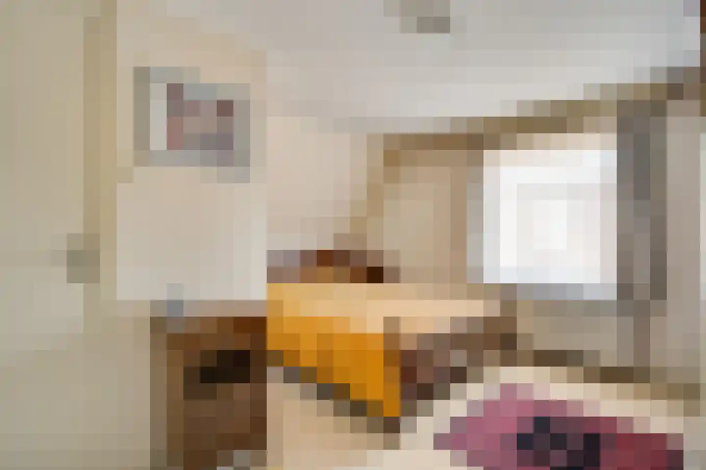 Julianastraat 12 Reuver thumbnail 19