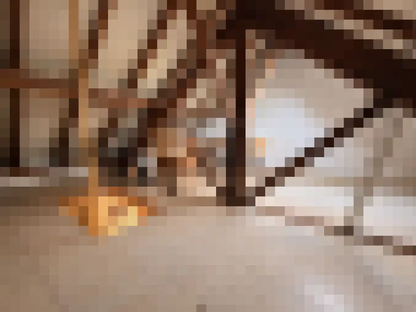 Julianastraat 12 Reuver thumbnail 22