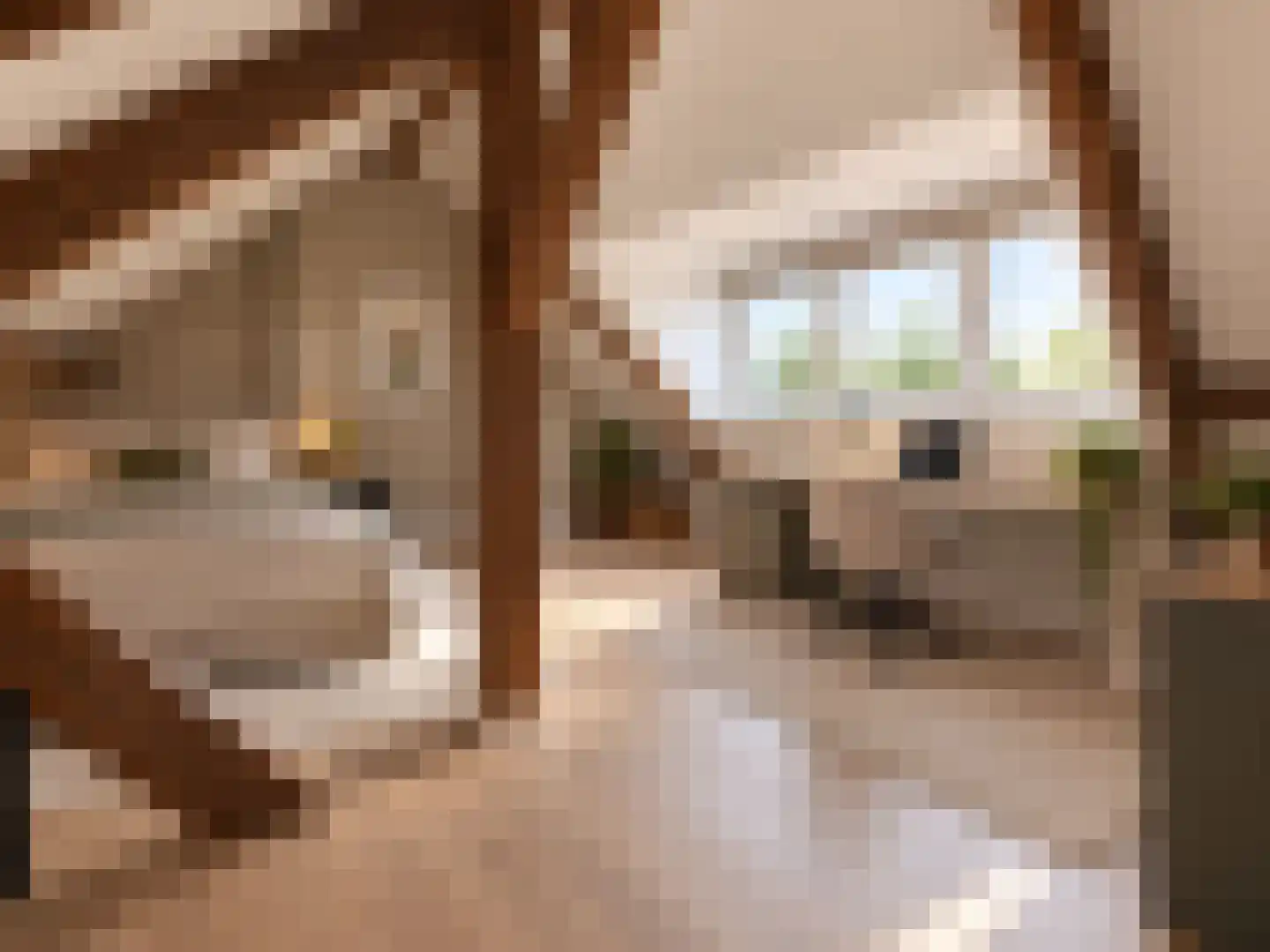 Julianastraat 12 Reuver thumbnail 23
