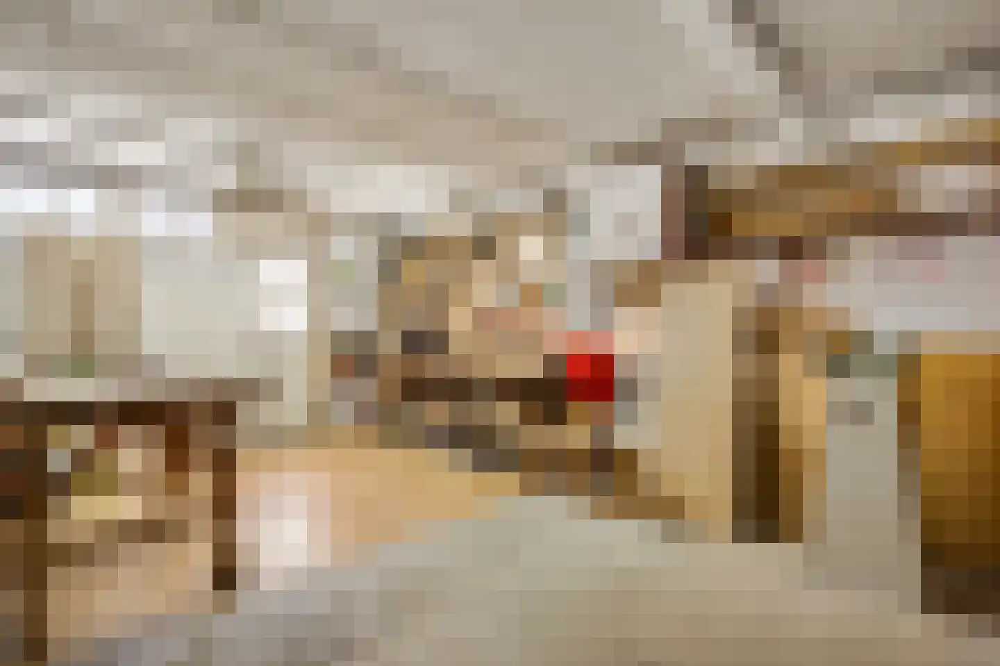 Julianastraat 12 Reuver thumbnail 29