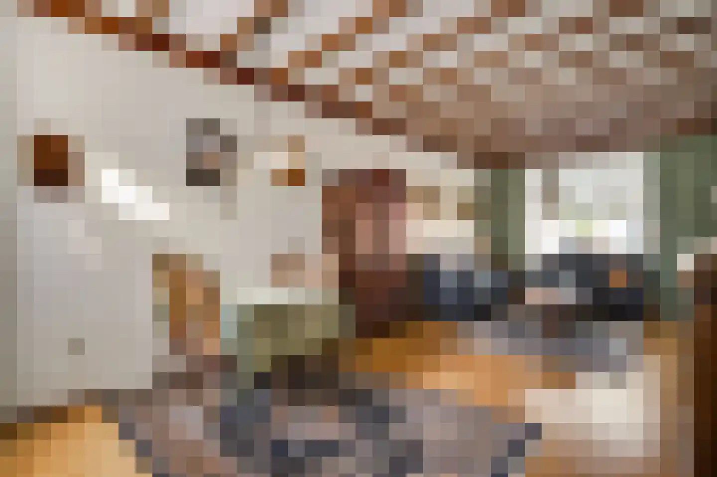 Julianastraat 12 Reuver thumbnail 4