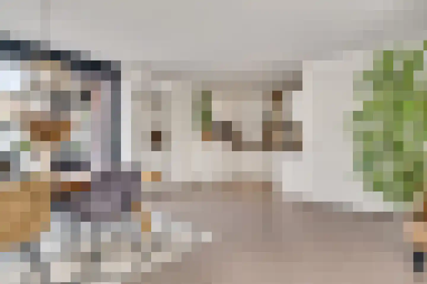 Julianastraat 12 Roermond thumbnail 11