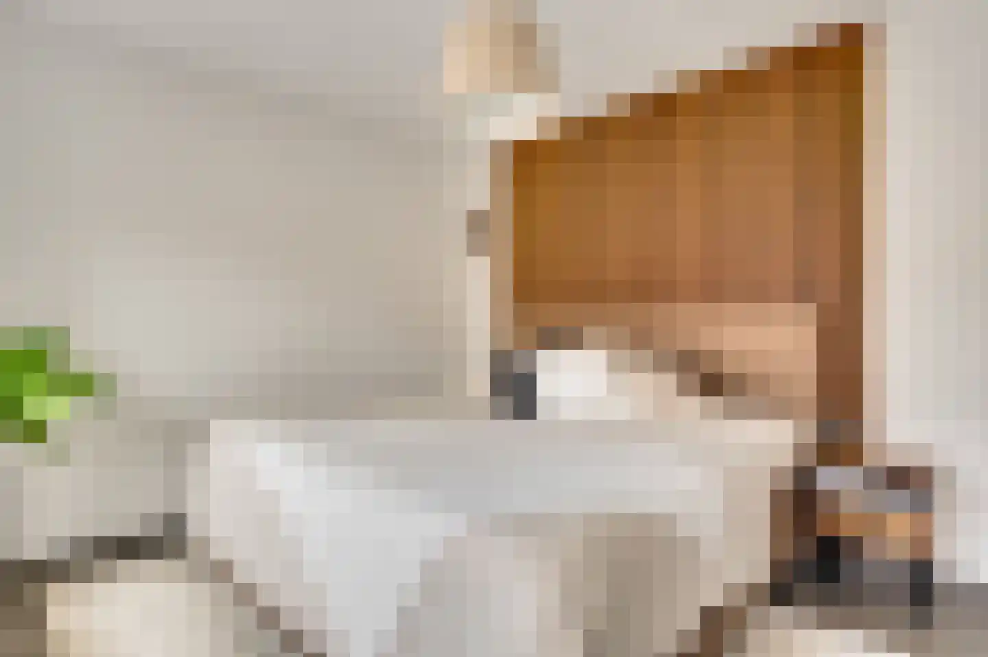 Julianastraat 12 Roermond thumbnail 14