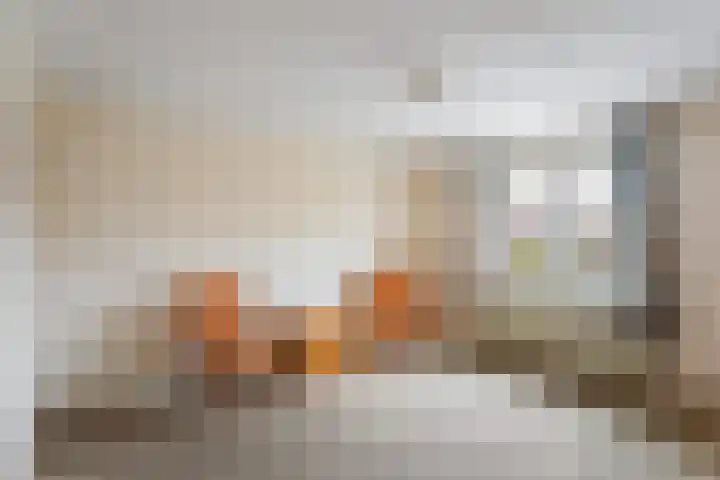 Julianastraat 12 Rossum thumbnail 11