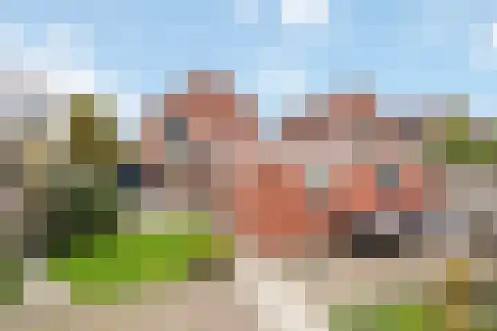 Julianastraat 12 Rossum thumbnail 14
