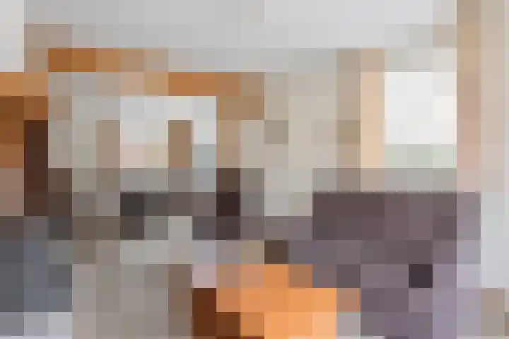 Julianastraat 12 Rossum thumbnail 4