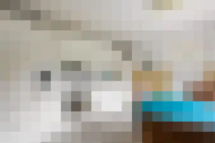 Julianastraat 12 Rossum thumbnail 7
