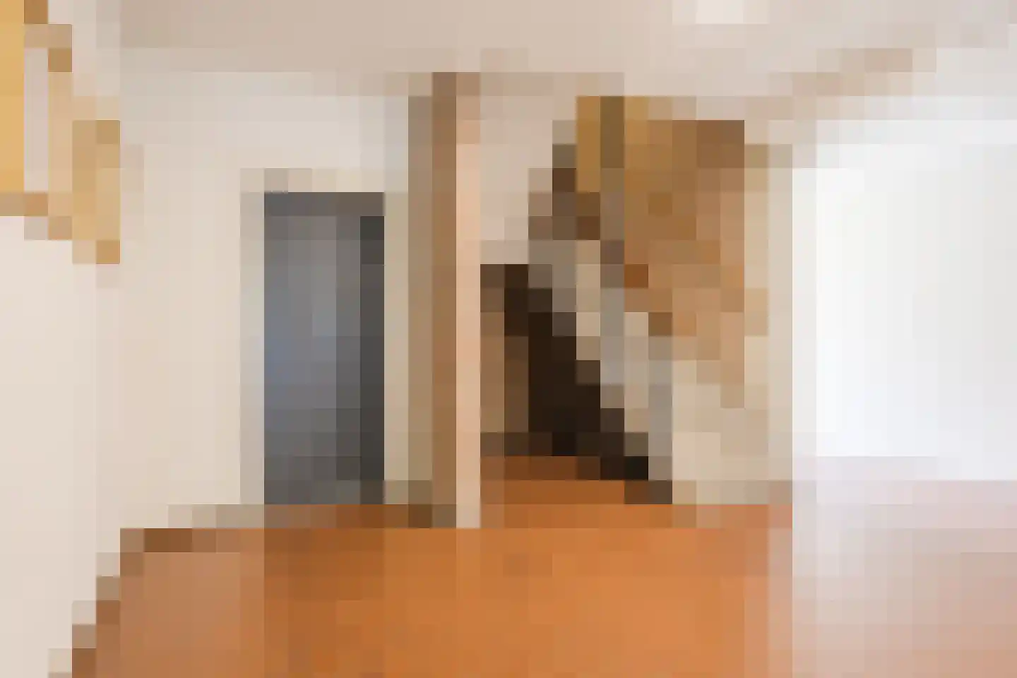 Julianastraat 12 Uden thumbnail 10