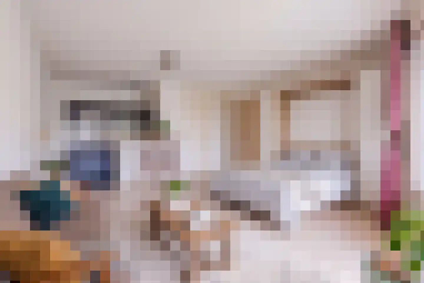 Julianastraat 12 Uden thumbnail 17