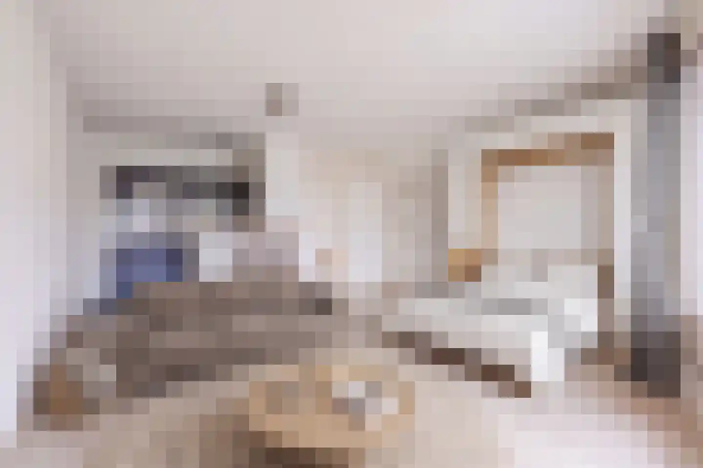 Julianastraat 12 Uden thumbnail 18