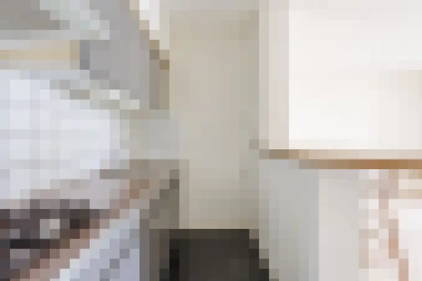 Julianastraat 12 Uden thumbnail 22