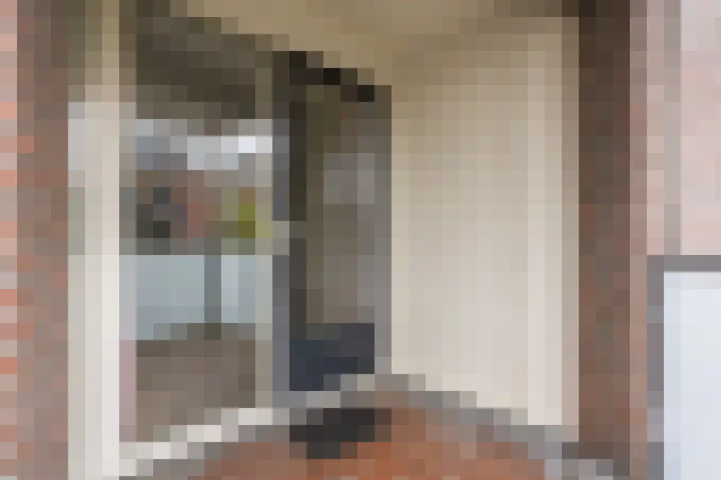 Julianastraat 12 Uden thumbnail 42
