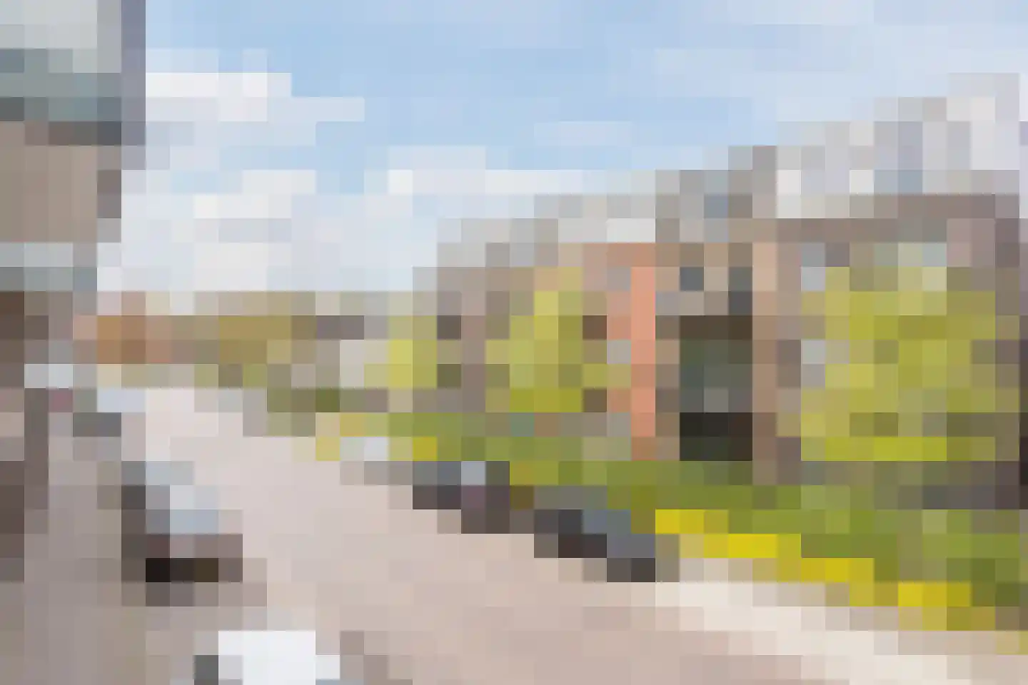 Julianastraat 12 Uden thumbnail 44