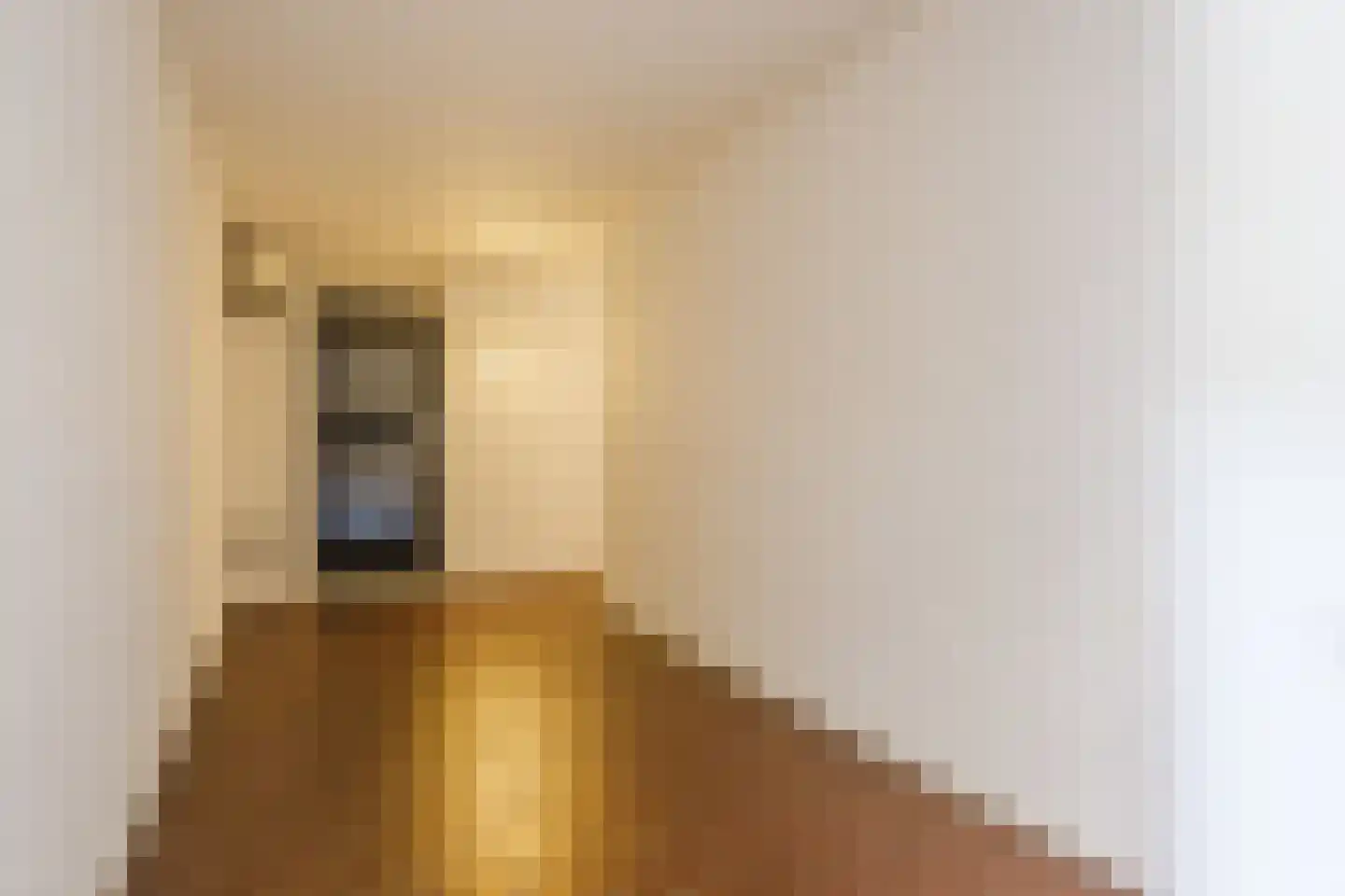 Julianastraat 12 Uden thumbnail 9