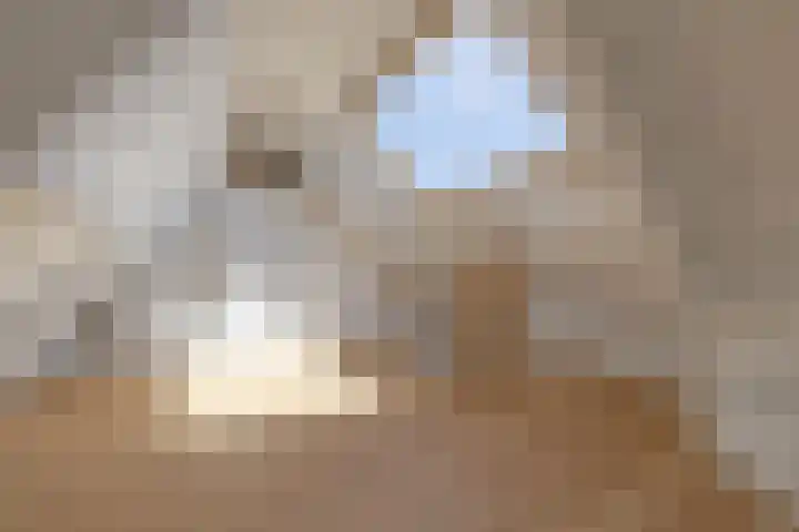 Julianastraat 12 Weesp thumbnail 18