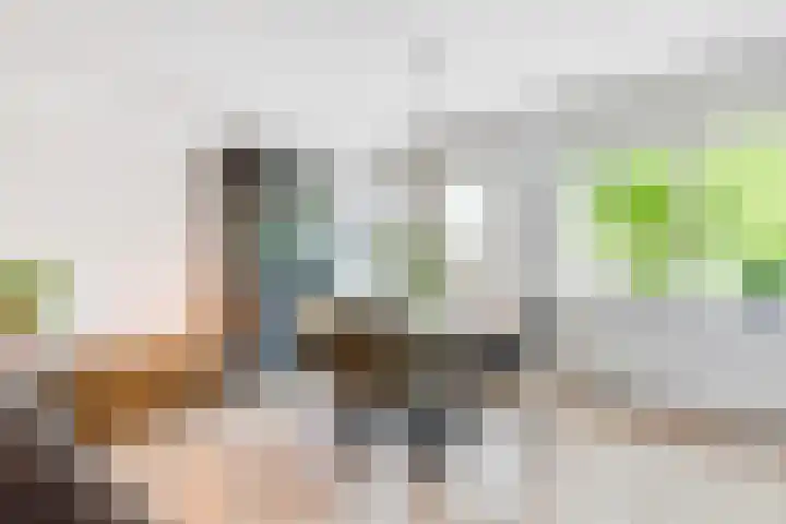 Julianastraat 120 Lisse thumbnail 21