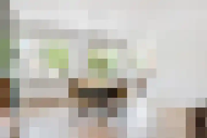 Julianastraat 120 Lisse thumbnail 23