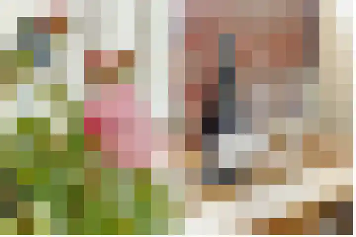 Julianastraat 120 Lisse thumbnail 25