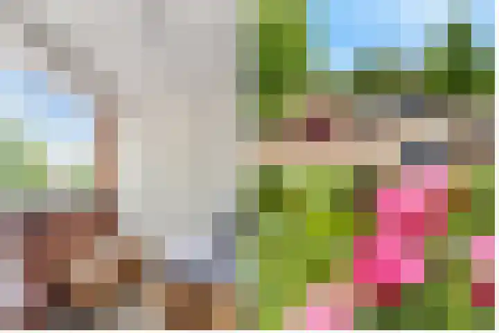 Julianastraat 120 Lisse thumbnail 26