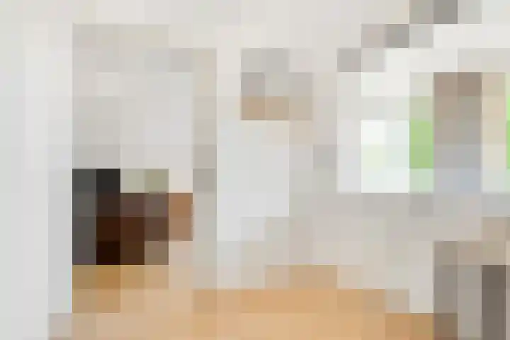 Julianastraat 120 Lisse thumbnail 32
