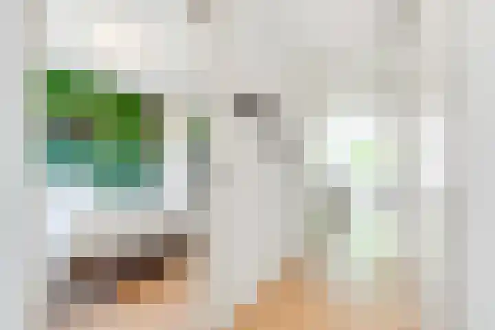 Julianastraat 120 Lisse thumbnail 33