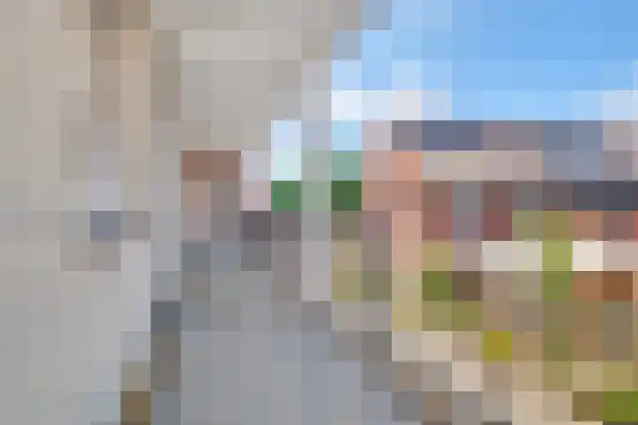 Julianastraat 120 Lisse thumbnail 39