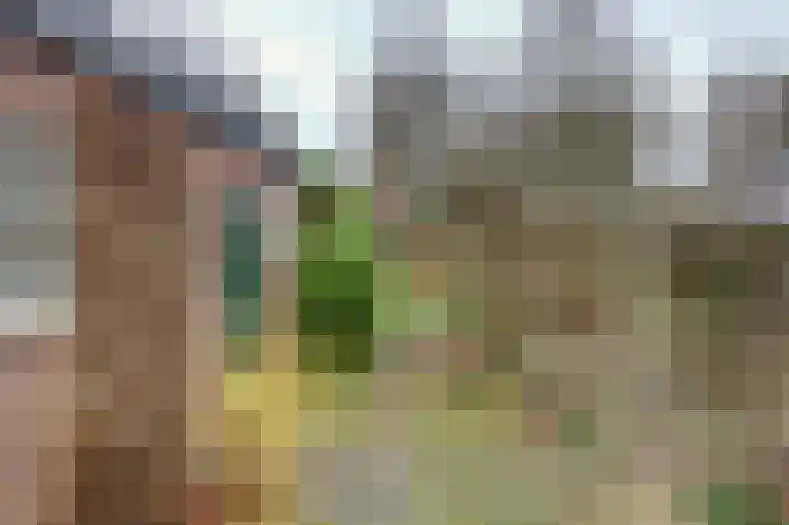 Julianastraat 121 Hoogezand thumbnail 10