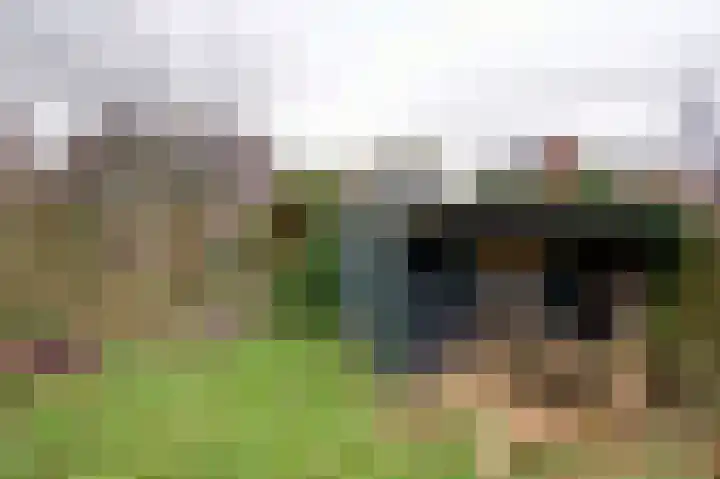 Julianastraat 121 Hoogezand thumbnail 12