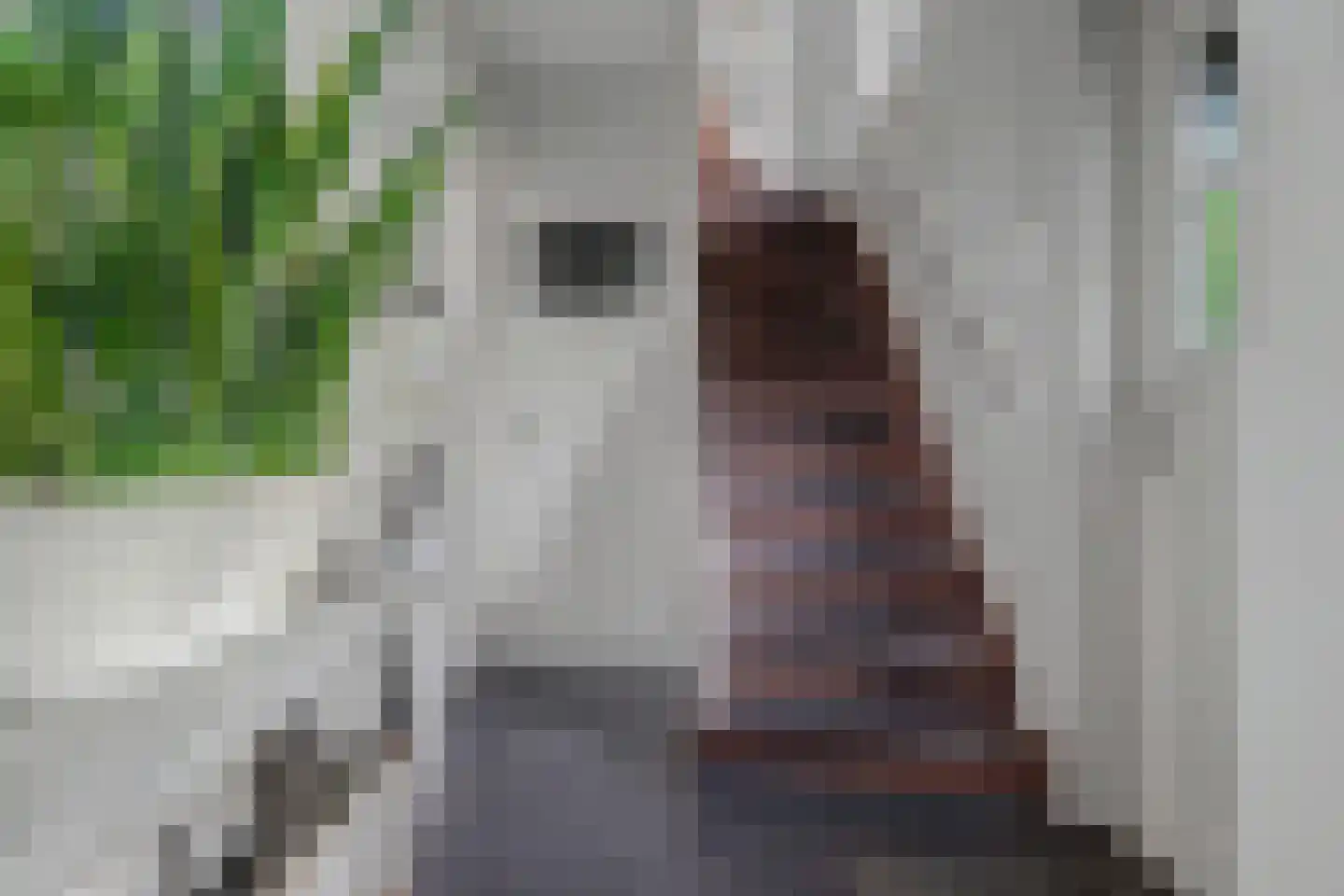 Julianastraat 127 Dongen thumbnail 14