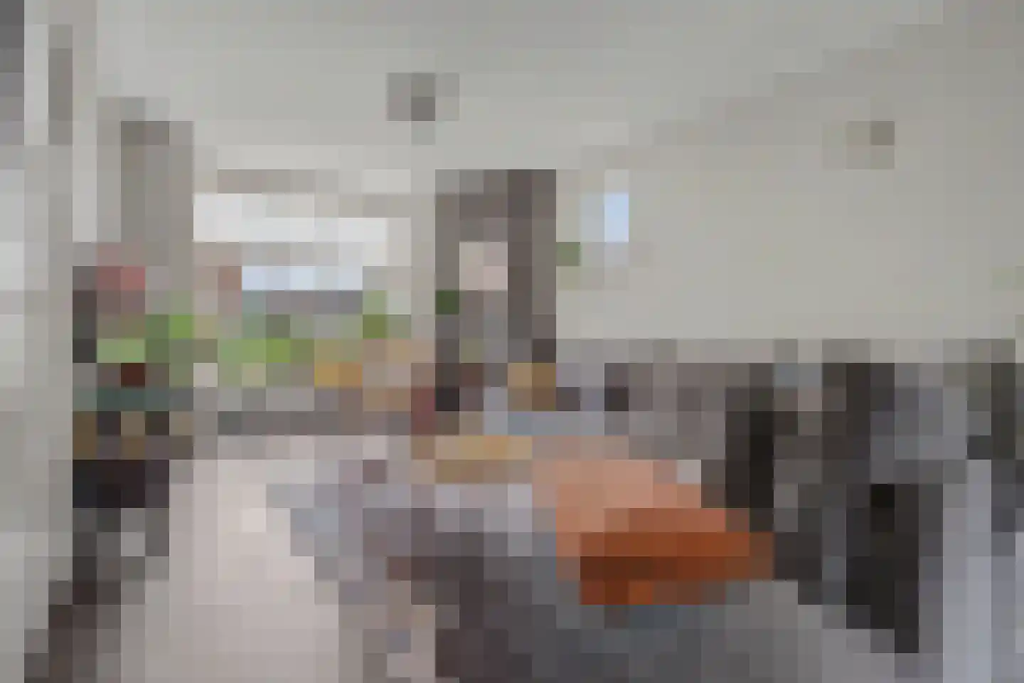 Julianastraat 127 Dongen thumbnail 16