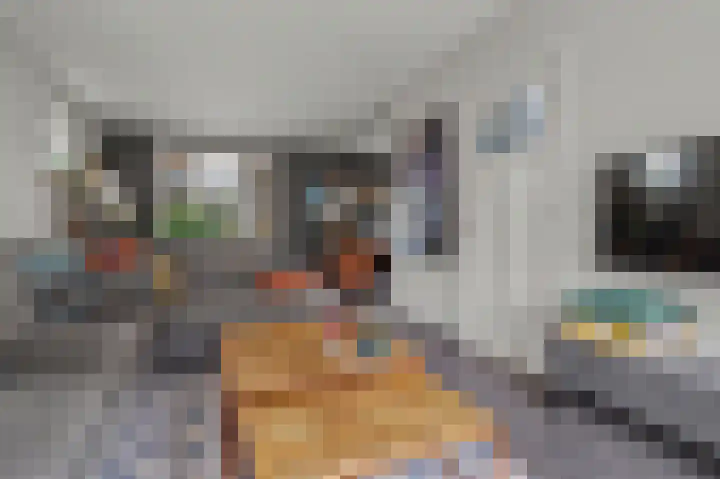 Julianastraat 127 Dongen thumbnail 19