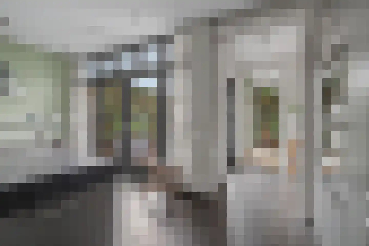 Julianastraat 127 Dongen thumbnail 28